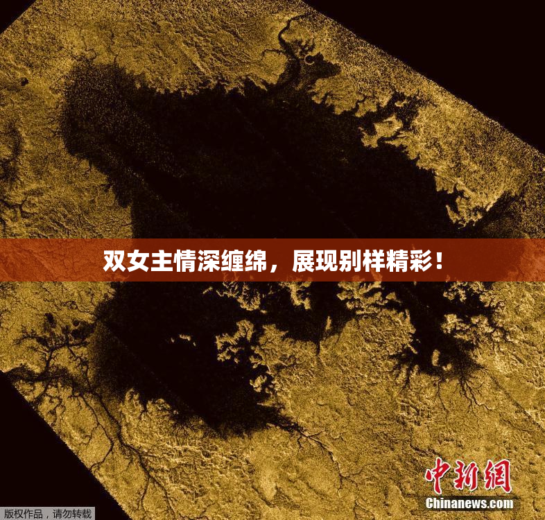 双女主情深缠绵，展现别样精彩！