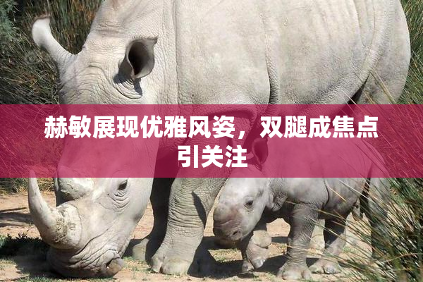 赫敏展现优雅风姿，双腿成焦点引关注