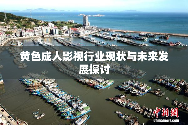 黄色成人影视行业现状与未来发展探讨