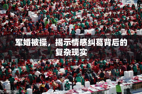 军婚被操，揭示情感纠葛背后的复杂现实
