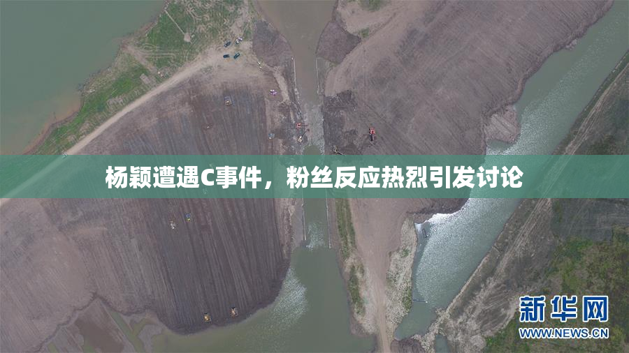 杨颖遭遇C事件，粉丝反应热烈引发讨论