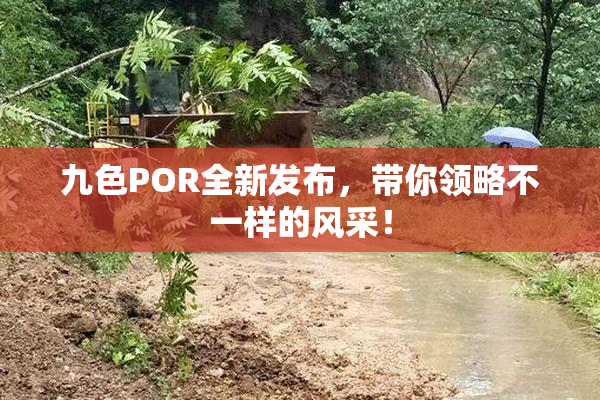 九色POR全新发布，带你领略不一样的风采！
