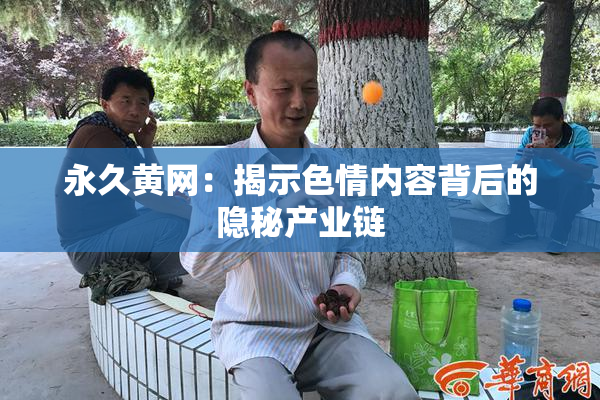 永久黄网：揭示色情内容背后的隐秘产业链