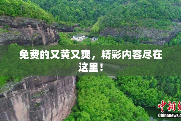 免费的又黄又爽，精彩内容尽在这里！