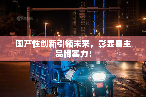 国产性创新引领未来，彰显自主品牌实力！