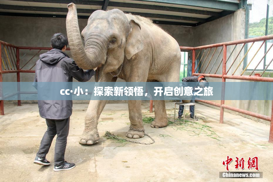 cc·小：探索新领悟，开启创意之旅