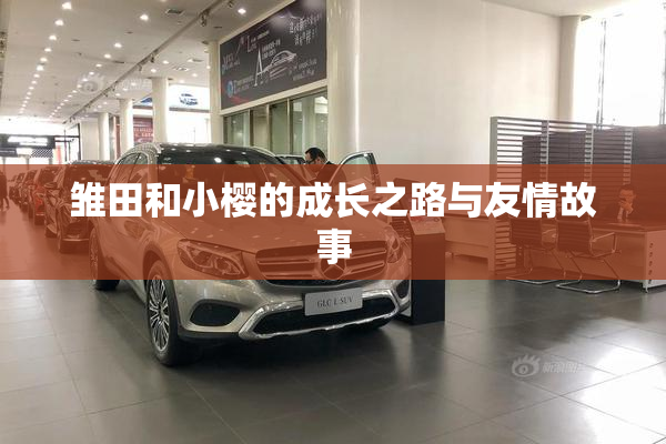 雏田和小樱的成长之路与友情故事