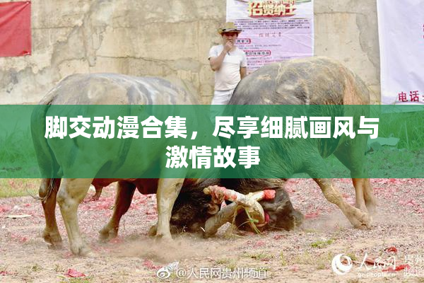 脚交动漫合集，尽享细腻画风与激情故事