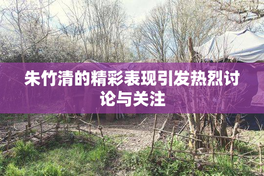 朱竹清的精彩表现引发热烈讨论与关注