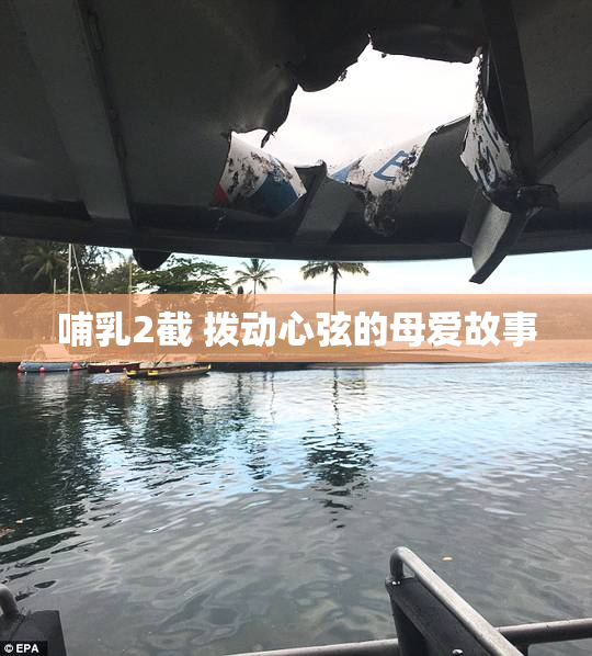 哺乳2截 拨动心弦的母爱故事