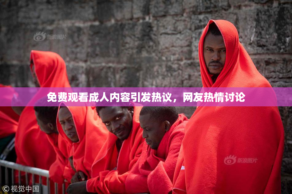 免费观看成人内容引发热议，网友热情讨论
