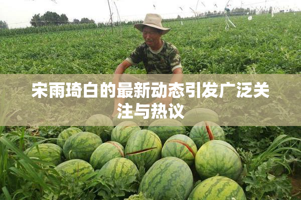 宋雨琦白的最新动态引发广泛关注与热议