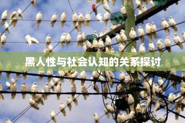黑人性与社会认知的关系探讨