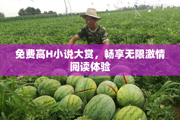 免费高H小说大赏，畅享无限激情阅读体验