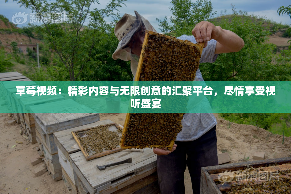 草莓视频：精彩内容与无限创意的汇聚平台，尽情享受视听盛宴
