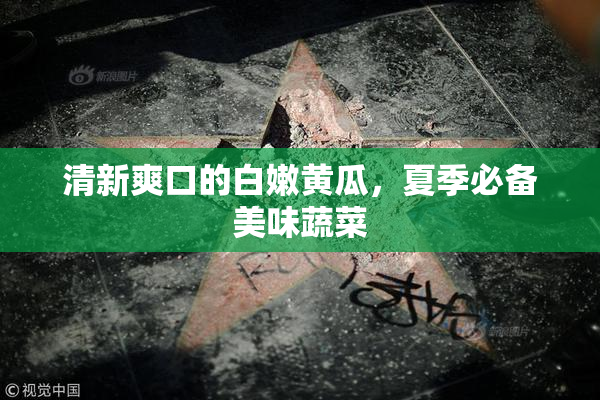 清新爽口的白嫩黄瓜，夏季必备美味蔬菜