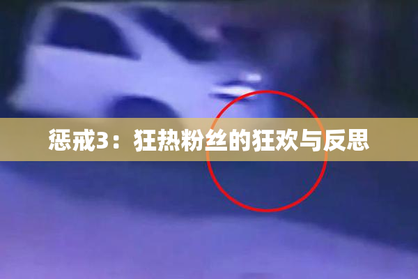 惩戒3：狂热粉丝的狂欢与反思