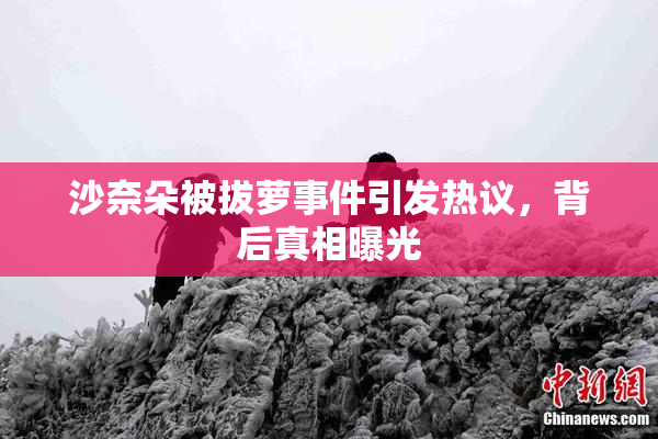 沙奈朵被拔萝事件引发热议，背后真相曝光