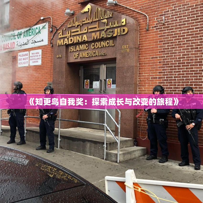 《知更鸟自我奖：探索成长与改变的旅程》