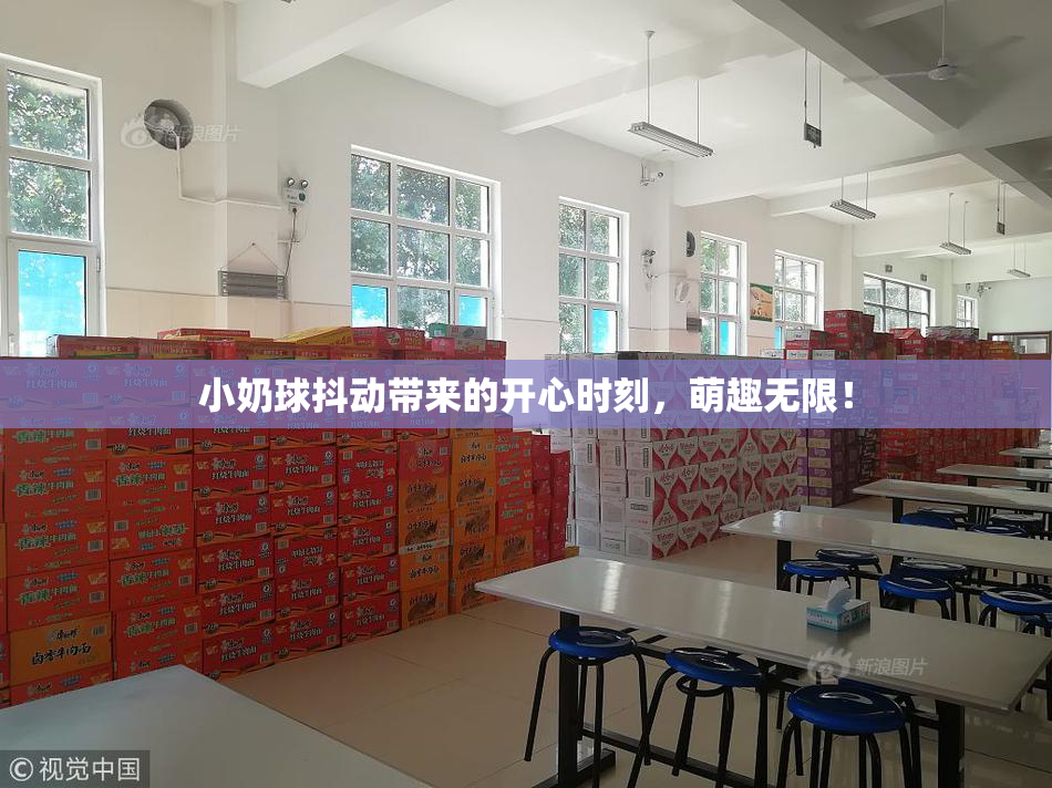 小奶球抖动带来的开心时刻，萌趣无限！