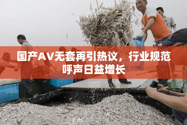 国产AV无套再引热议，行业规范呼声日益增长