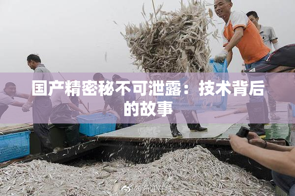 国产精密秘不可泄露：技术背后的故事