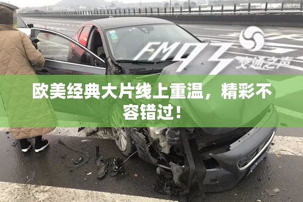 欧美经典大片线上重温，精彩不容错过！