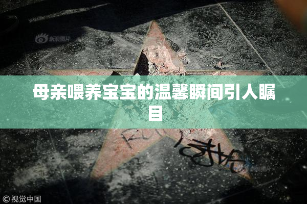 母亲喂养宝宝的温馨瞬间引人瞩目