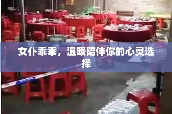 女仆乖乖，温暖陪伴你的心灵选择