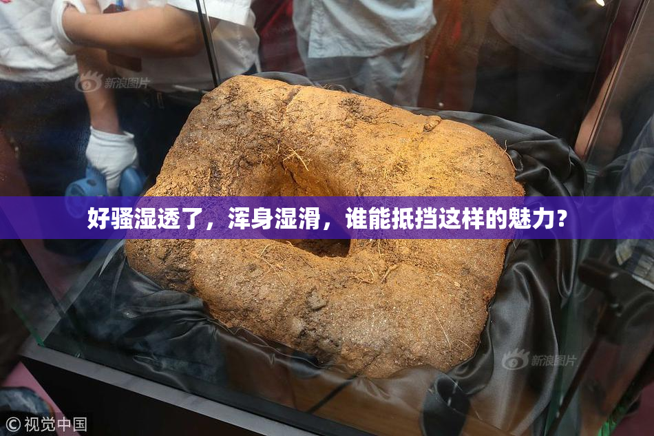 好骚湿透了，浑身湿滑，谁能抵挡这样的魅力？