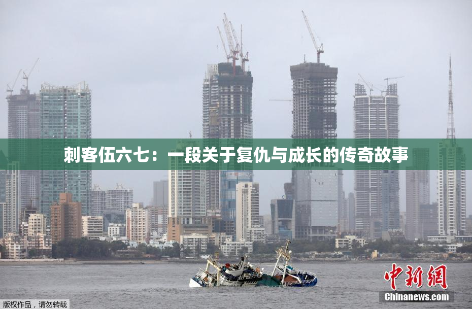 刺客伍六七：一段关于复仇与成长的传奇故事