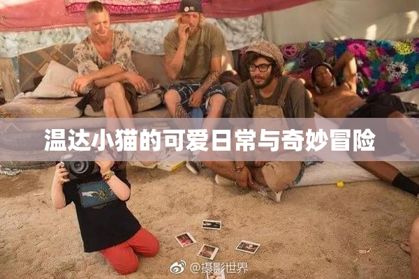 温达小猫的可爱日常与奇妙冒险