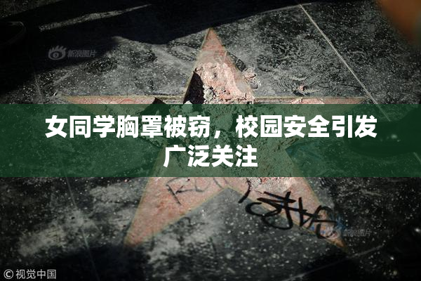 女同学胸罩被窃，校园安全引发广泛关注