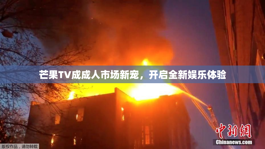 芒果TV成成人市场新宠，开启全新娱乐体验