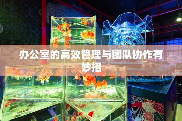 办公室的高效管理与团队协作有妙招