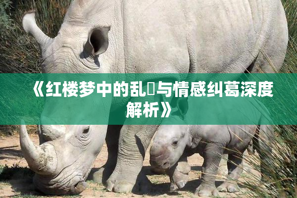 《红楼梦中的乱婬与情感纠葛深度解析》