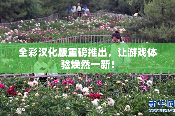 全彩汉化版重磅推出，让游戏体验焕然一新！