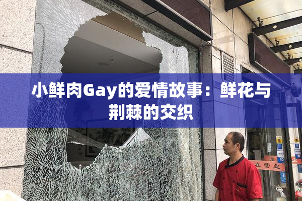 小鲜肉Gay的爱情故事：鲜花与荆棘的交织