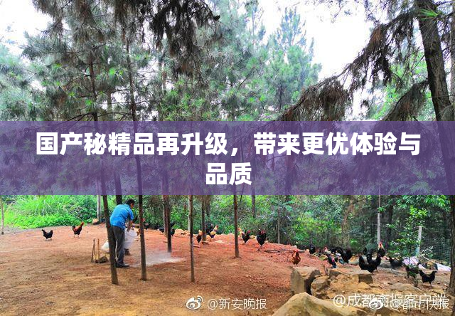 国产秘精品再升级，带来更优体验与品质