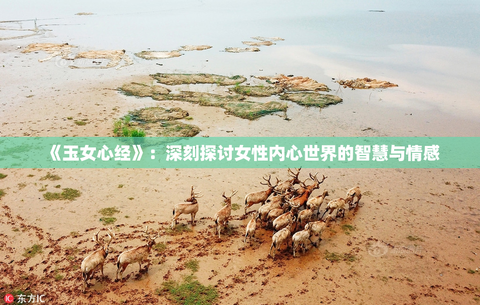 《玉女心经》：深刻探讨女性内心世界的智慧与情感
