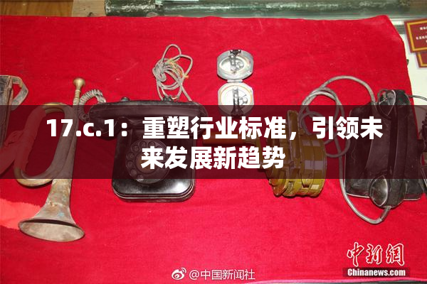 17.c.1：重塑行业标准，引领未来发展新趋势