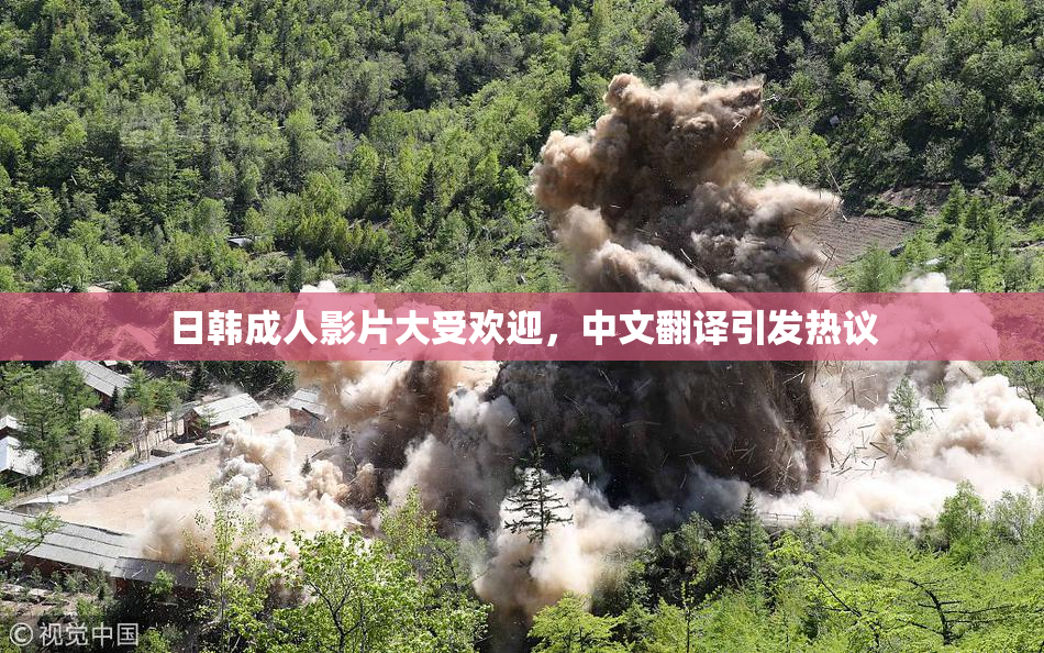 日韩成人影片大受欢迎，中文翻译引发热议