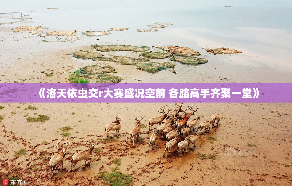 《洛天依虫交r大赛盛况空前 各路高手齐聚一堂》