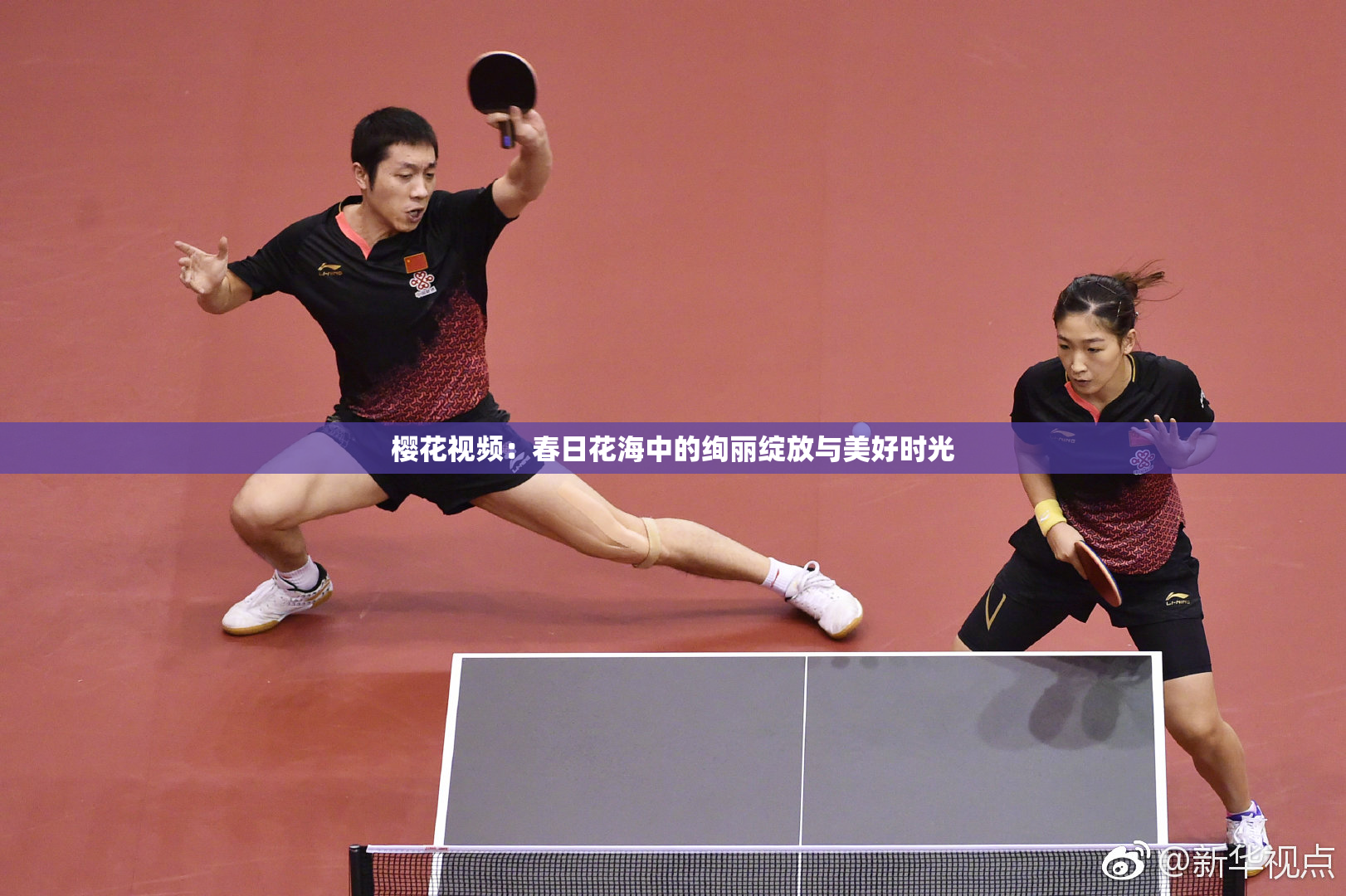 樱花视频：春日花海中的绚丽绽放与美好时光