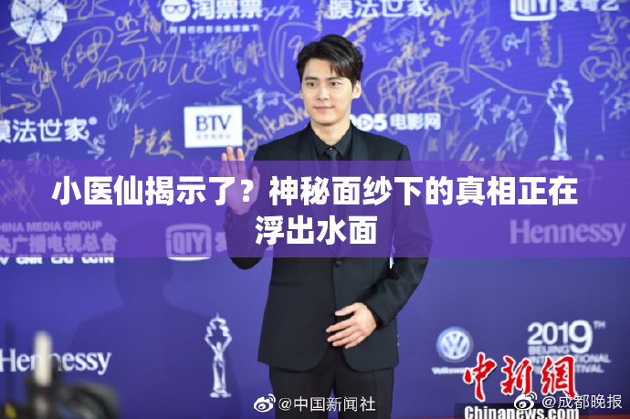小医仙揭示了？神秘面纱下的真相正在浮出水面
