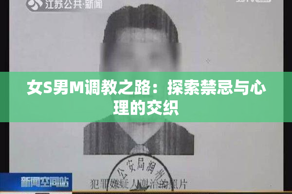 女S男M调教之路：探索禁忌与心理的交织