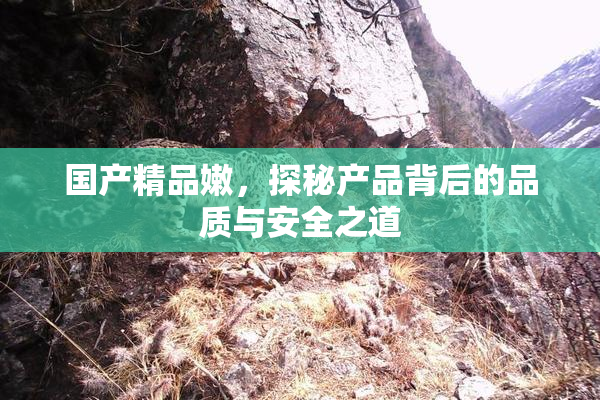 国产精品嫩，探秘产品背后的品质与安全之道
