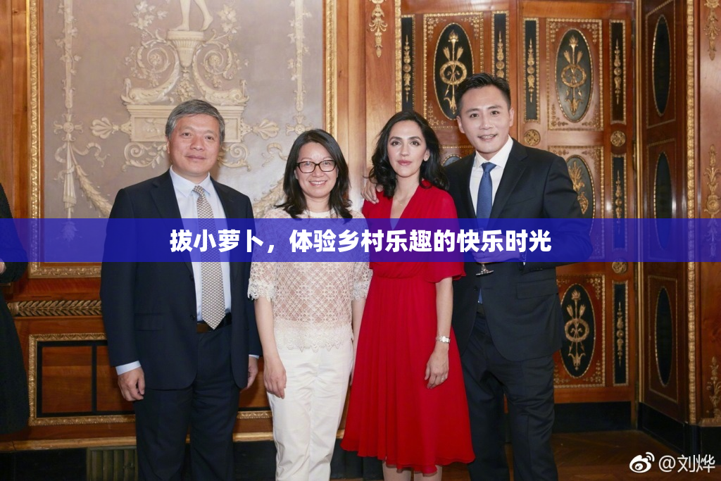 拔小萝卜，体验乡村乐趣的快乐时光