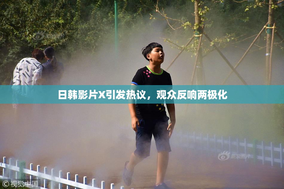 日韩影片X引发热议，观众反响两极化