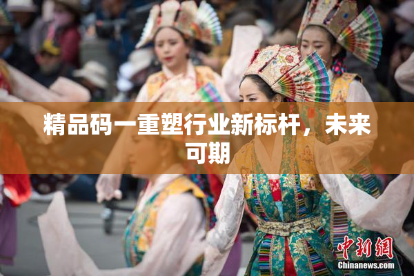 精品码一重塑行业新标杆，未来可期